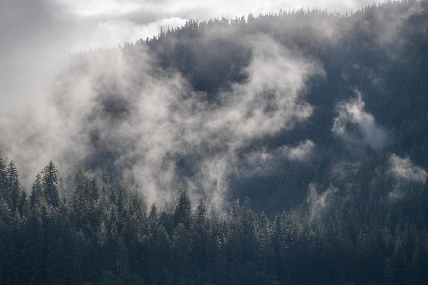 As legislators rail against feds accessing voter info, Dunleavy officials say they'd do it again