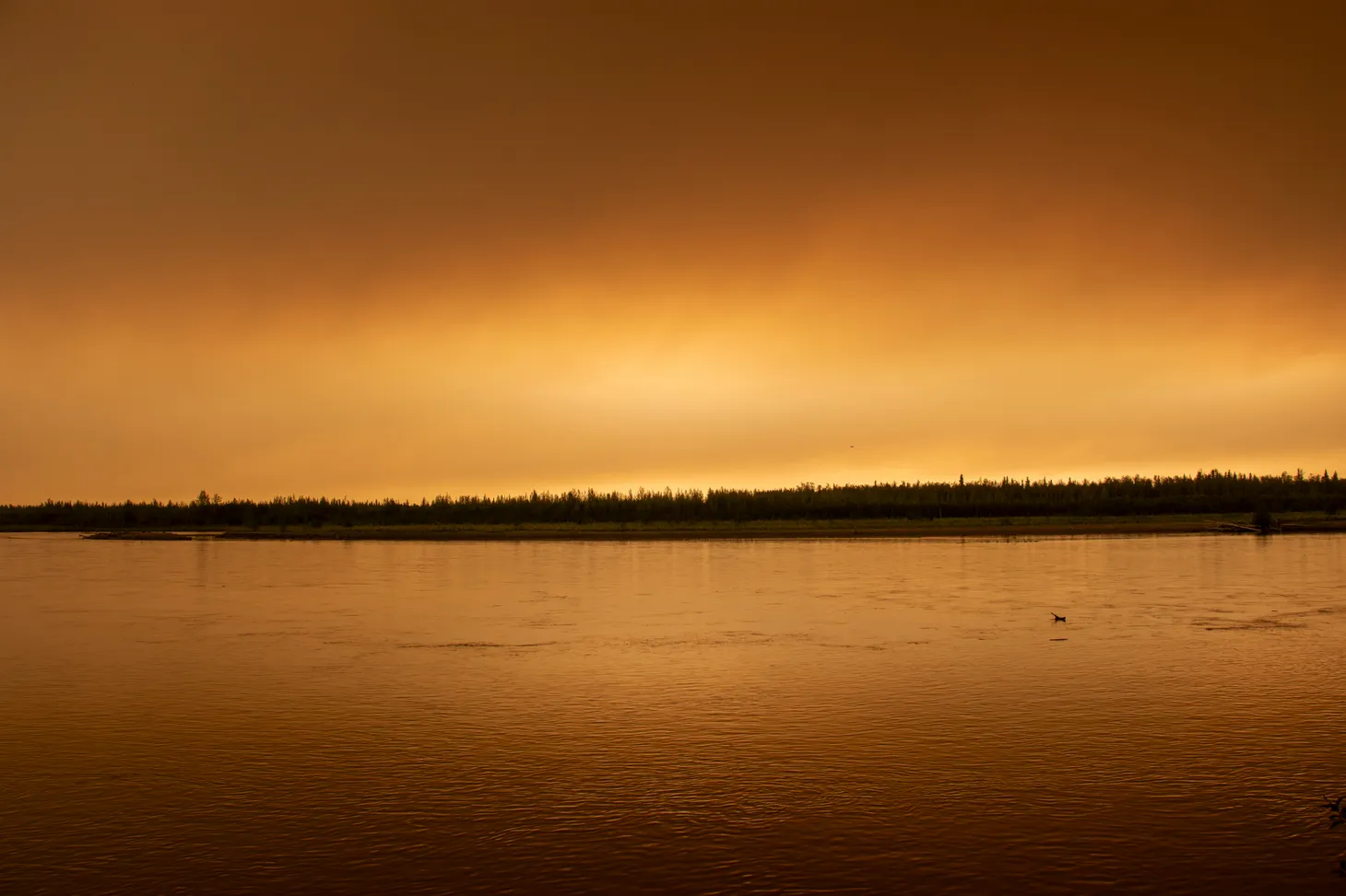 A wide landscape shot of orange sky and water separated by a thin strip of dark forest.