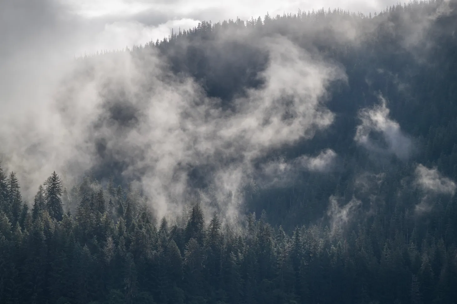 As legislators rail against feds accessing voter info, Dunleavy officials say they'd do it again