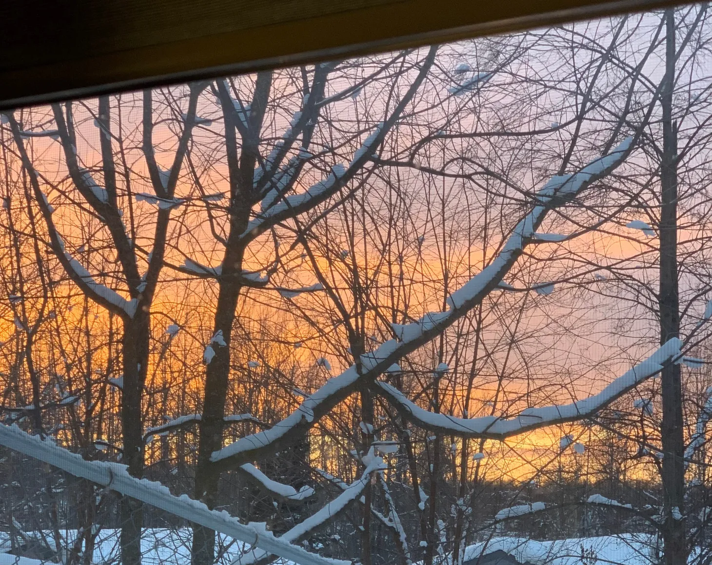 What a week it's been.