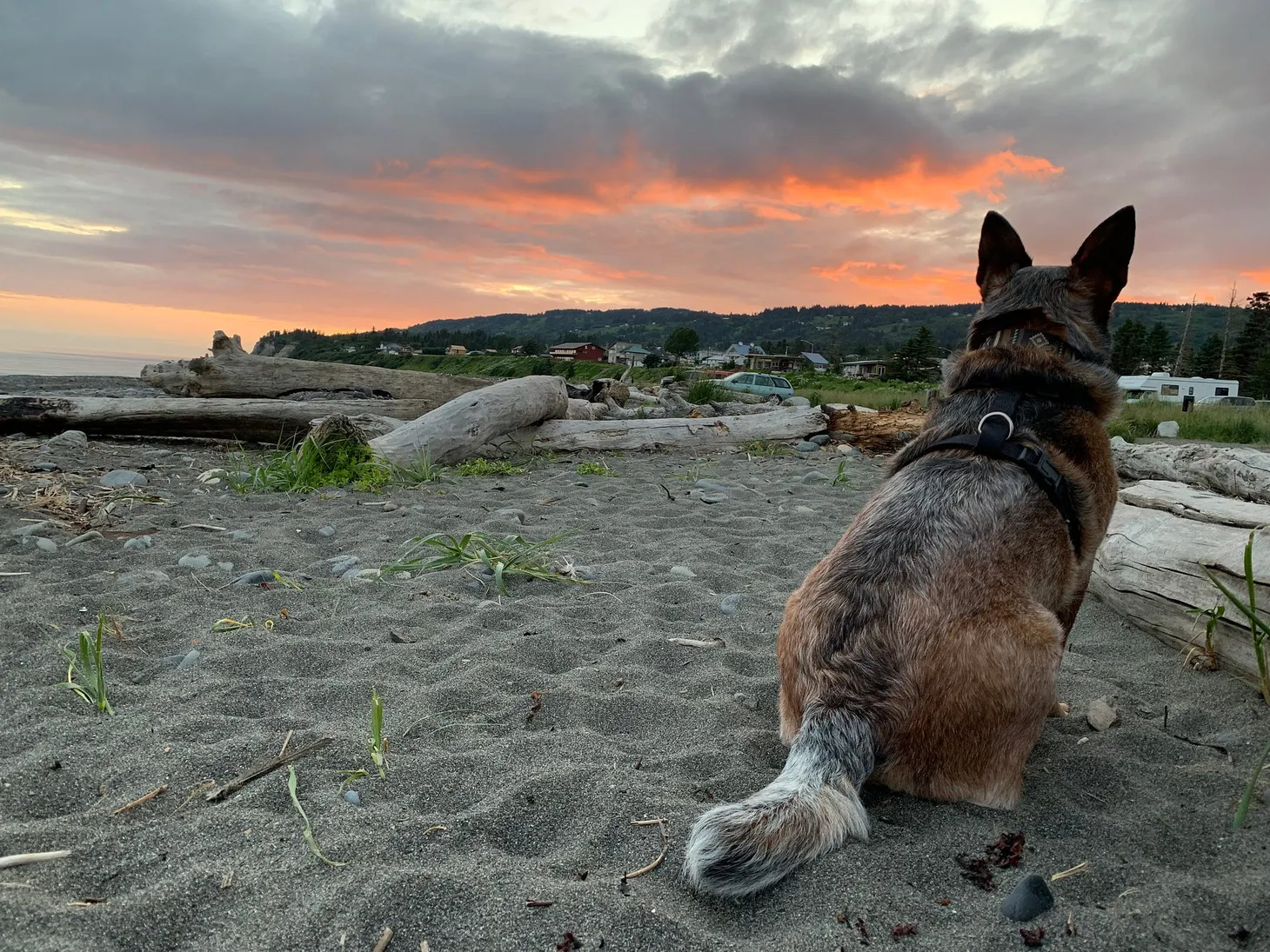 Politics are a long game and Alaska summers are short